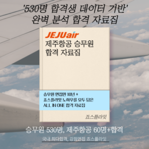 [제주항공] 합격자료집 (ver. 2025 하)