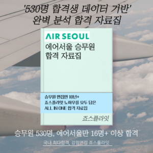 [에어서울] 합격자료집 (ver. 2024 하)