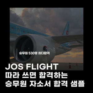 [합격샘플] 따라쓰면 합격하는 승무원 이력서/자기소개서 합격 샘플자료집